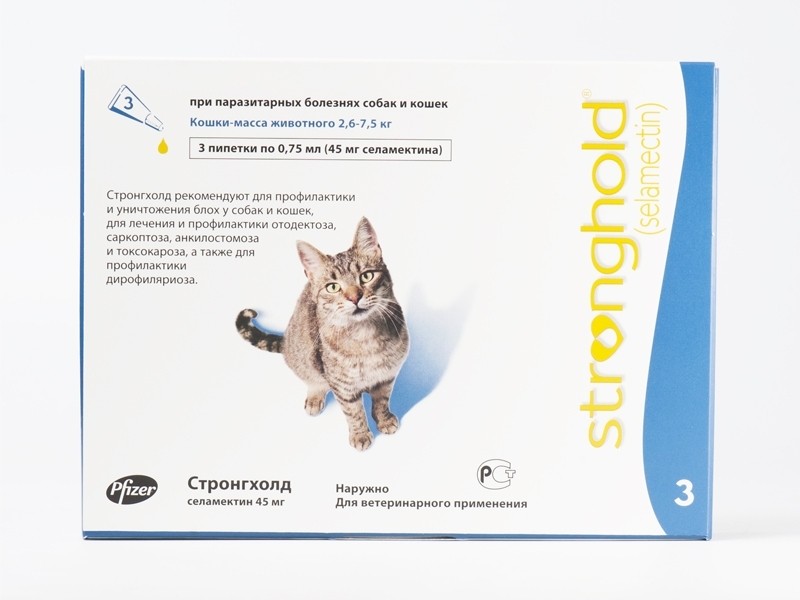 Лечение глистов у котов