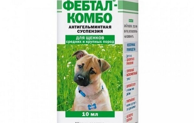 Какие таблетки дать собаке от глистов
